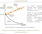 ДЕЛАЕМ СТАРТАП